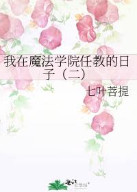 我在魔法学院任教的日子（二）