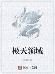 极天领域