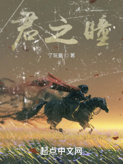 君之瞳