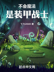 不会魔法，是装甲战士