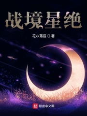 战境星绝