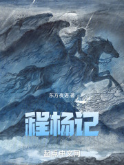 程杨记