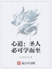 心道：圣人必可学而至
