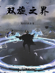 双旋之界