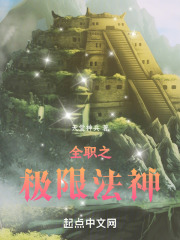 全职之极限法神