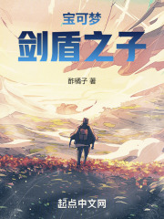 宝可梦：剑盾之子