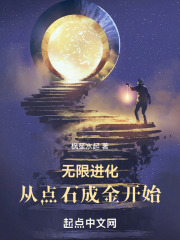 无限进化，从点石成金开始