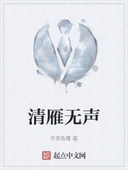 清雁无声