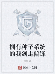拥有种子系统的我剑走偏锋