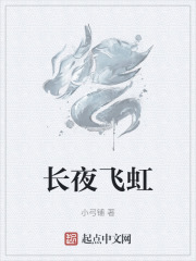 长夜飞虹