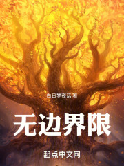 无边界限