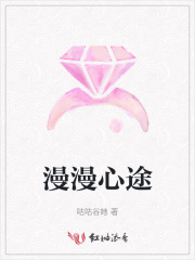 漫漫心途