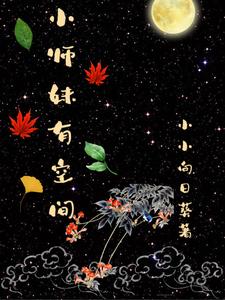 杀手重生，我的老爸是皇帝