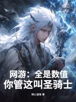 网游：全是数值，你管这叫圣骑士？