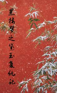 黑楼梦之黛玉复仇记
